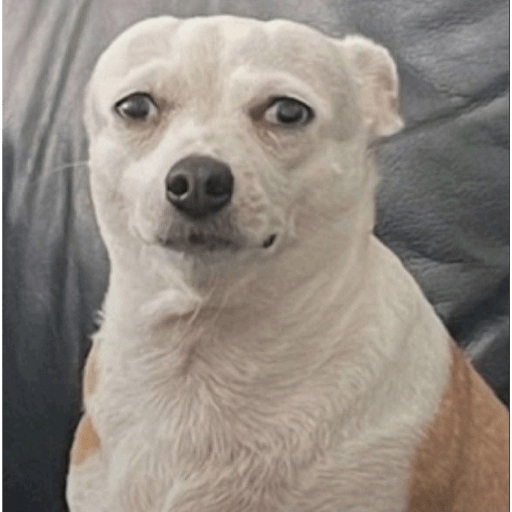 Chi 6
