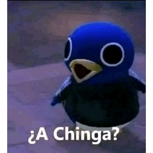 Chi 8