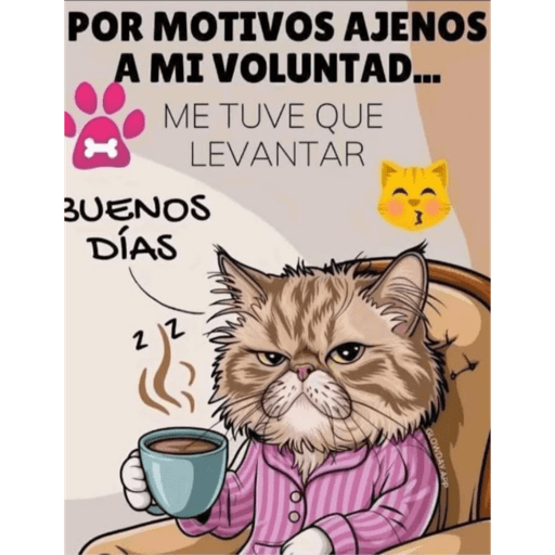 Mis pegatinas