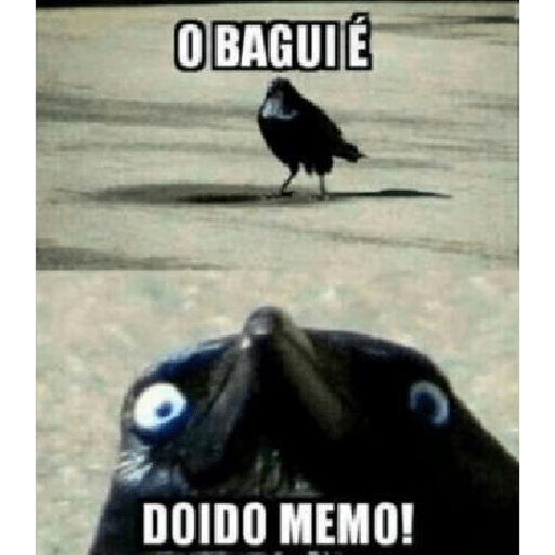 ..... 6