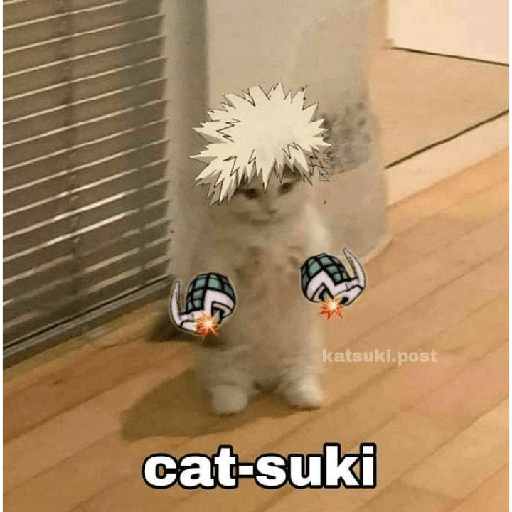 ..... 14