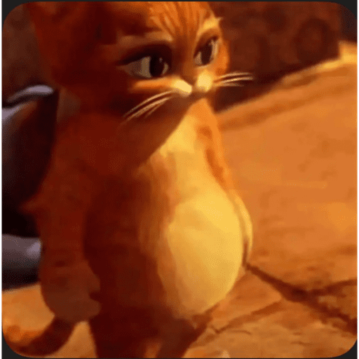 Tiktok 13