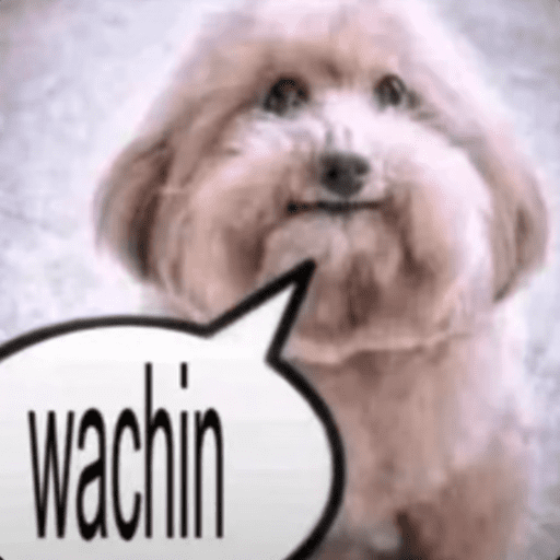 Tiktok 4