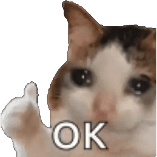 Tiktok 5
