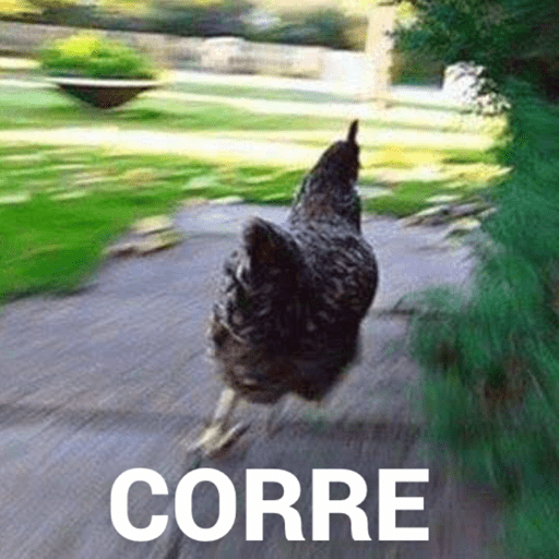 MEMES SUGERIDOS 2