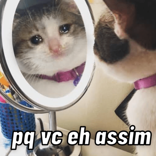 MEMES SUGERIDOS 3