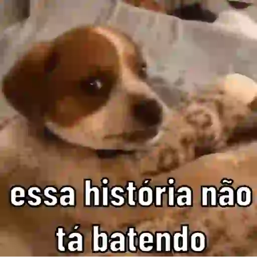 ALEATÓRIAS & SINCERAS 