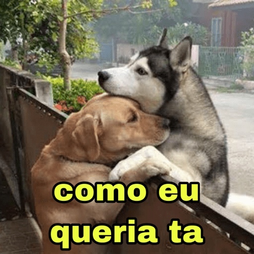 Sentimentos do dia 