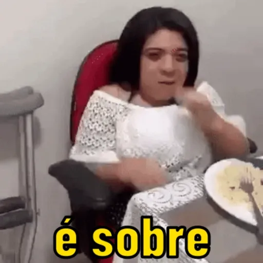 MEMES DA NET