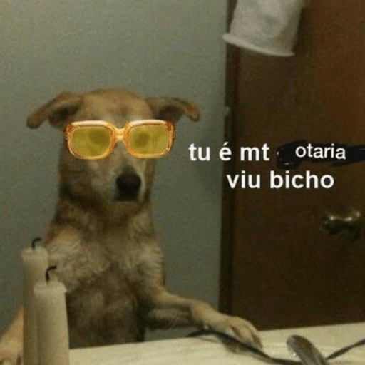 MEMES DOG