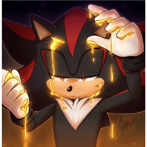 Shadow y un poco de sonadow xd 8