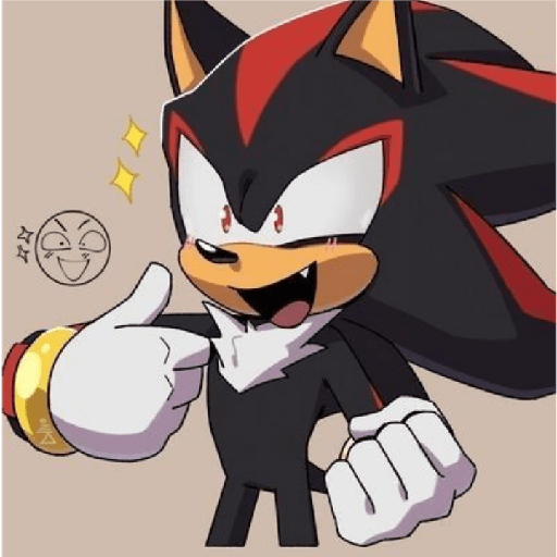 Shadow y un poco de sonadow xd 11