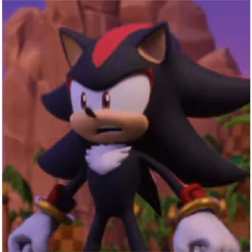 Shadow y un poco de sonadow xd 23