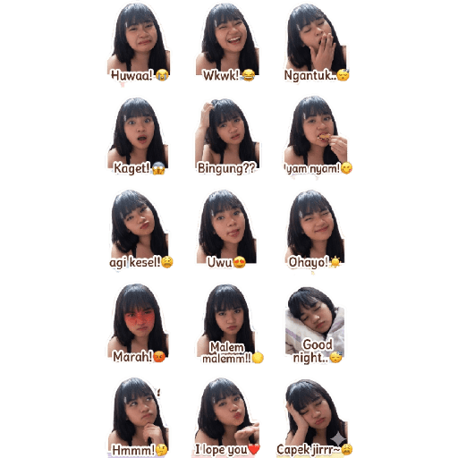 sticker