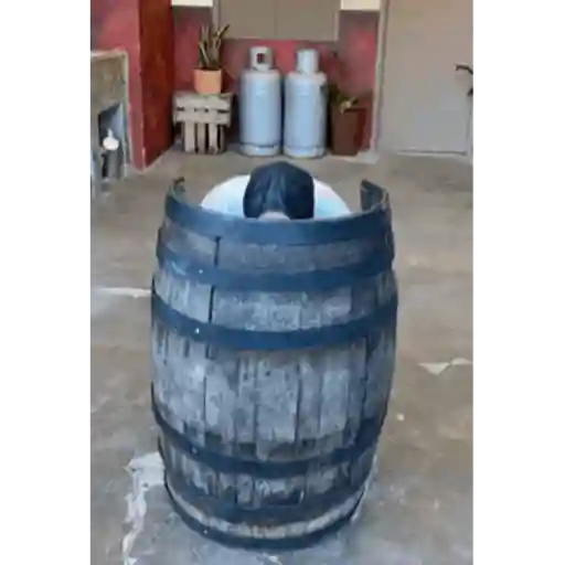 Animadas  8
