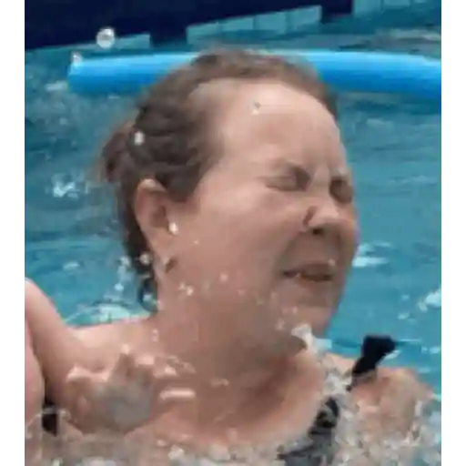 Animadas  23