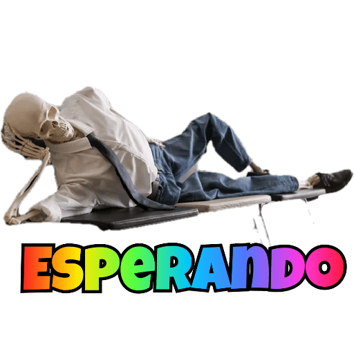 Aleatórias 11