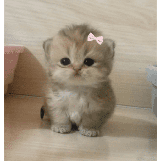 My stickers 11
