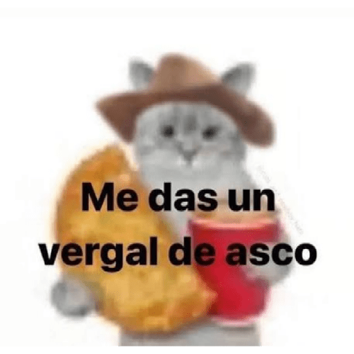 Momos 24