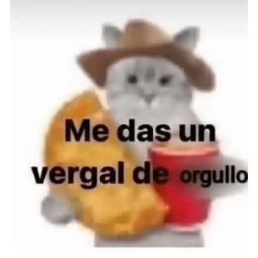 Momos 23