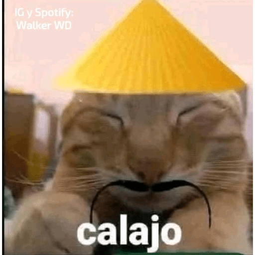 Momos 7