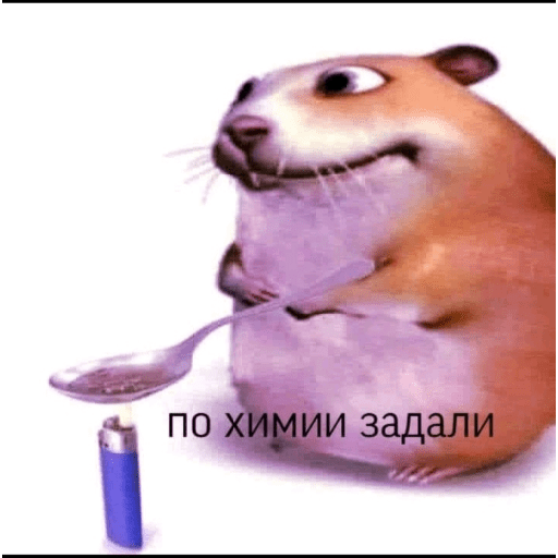 Momos 16