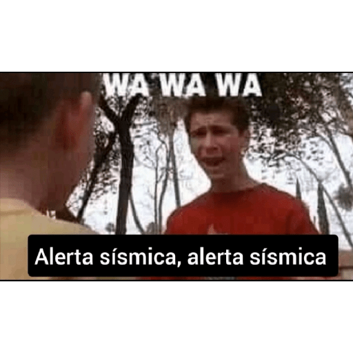 Momos 11