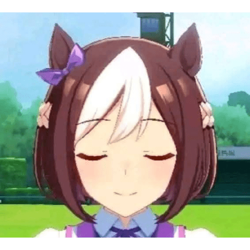 Umamusume 27