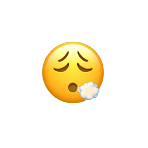Esmojis de iphone 😻🙇🏻‍♀️ 27