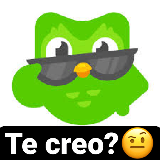 PACK 2 - DUOLINGO<3 4