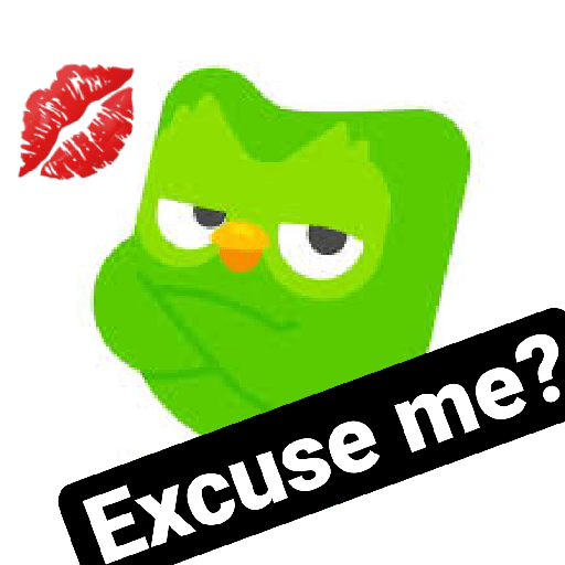 PACK 2 - DUOLINGO<3 3