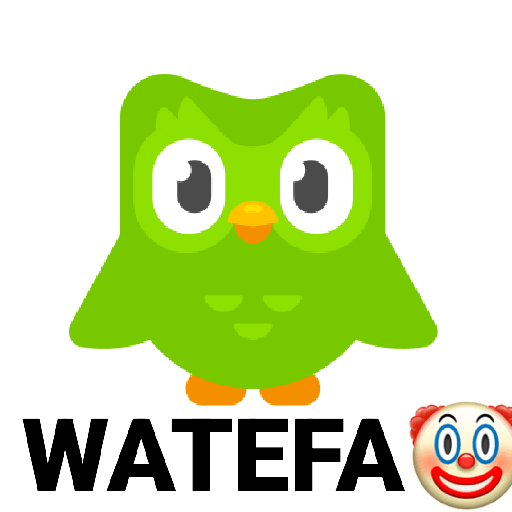 PACK 2 - DUOLINGO<3 11