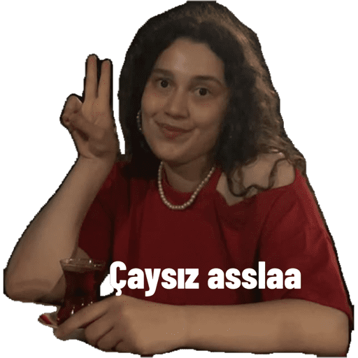 Çıkartmalarım 20
