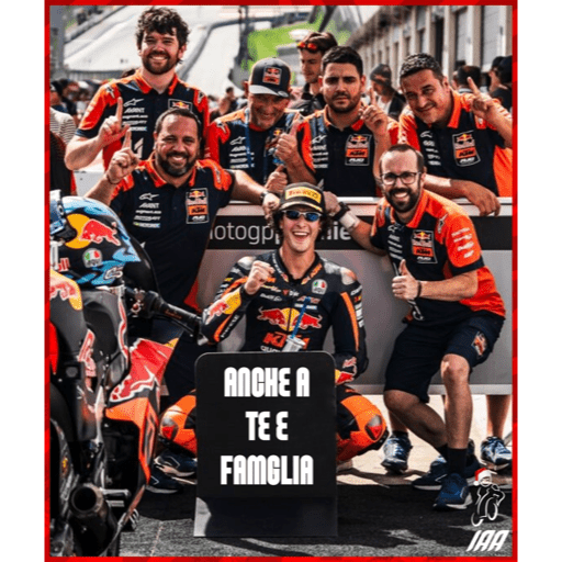 @impennare.alla.arbolino 9