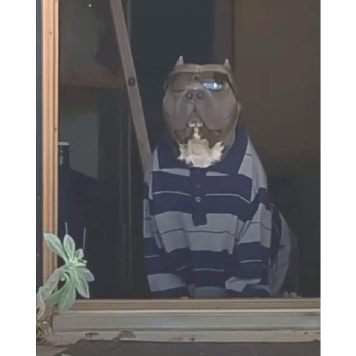 Shitpost#5 13