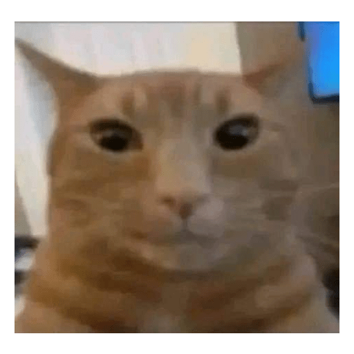 Shitpost#5 3