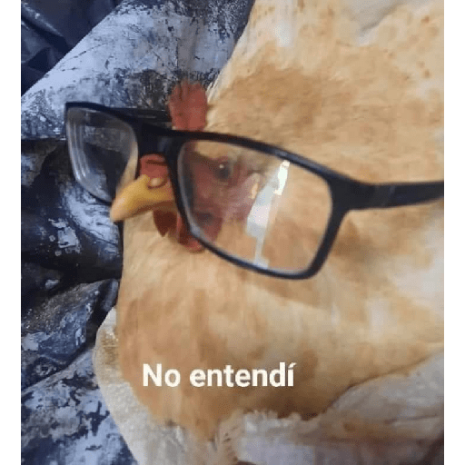 Shitpost#4 24