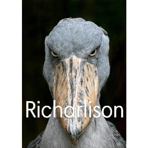 Shitpost#4 29