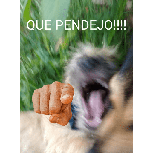 Shitpost#4 12