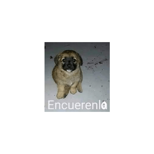 Shitpost#4 9