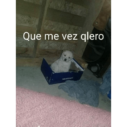 Shitpost#4 19