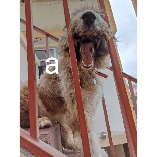 Shitpost#4 16