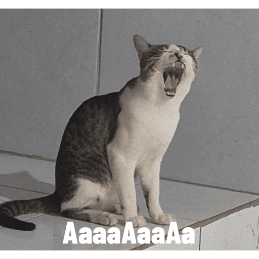 Pelekat