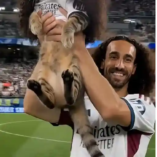 🇪🇸⚽️🐈 GATO CUCURELLA 🐈⚽️🇪🇸 24