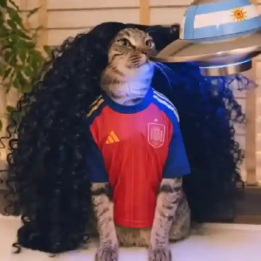 🇪🇸⚽️🐈 GATO CUCURELLA 🐈⚽️🇪🇸 13