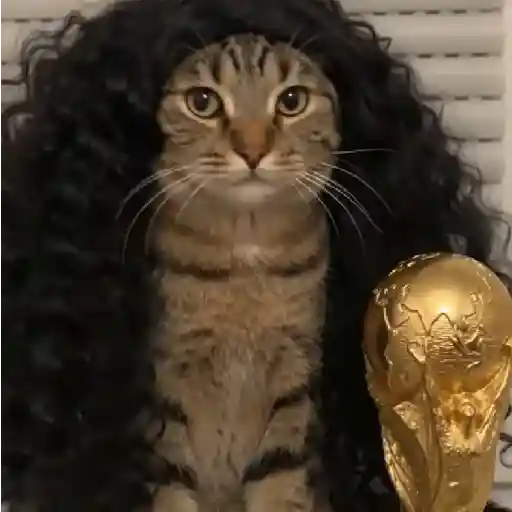 🇪🇸⚽️🐈 GATO CUCURELLA 🐈⚽️🇪🇸 9