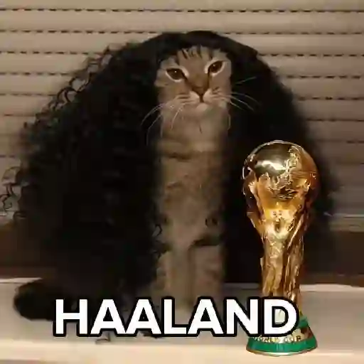 🇪🇸⚽️🐈 GATO CUCURELLA 🐈⚽️🇪🇸 5