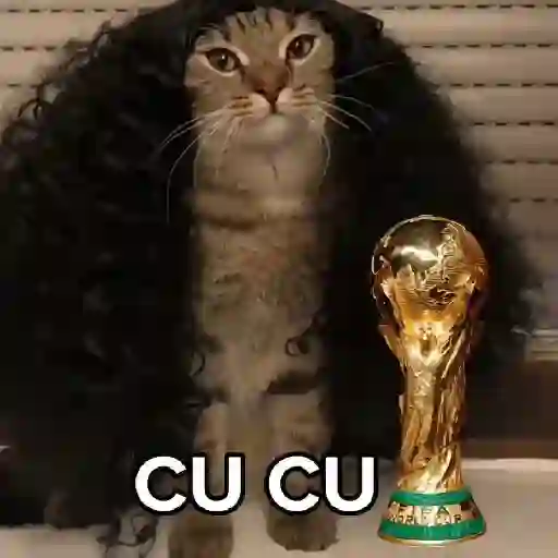 🇪🇸⚽️🐈 GATO CUCURELLA 🐈⚽️🇪🇸 3