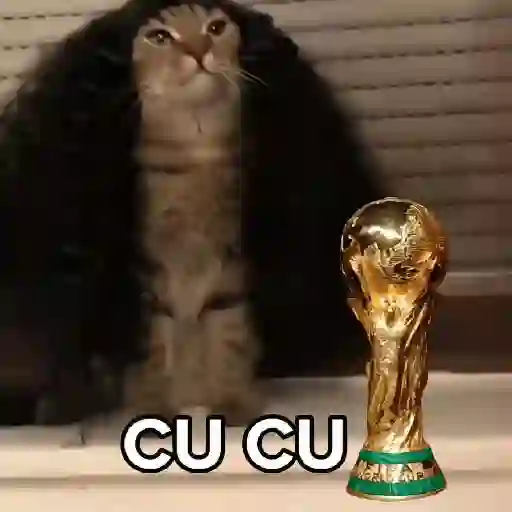 🇪🇸⚽️🐈 GATO CUCURELLA 🐈⚽️🇪🇸 2