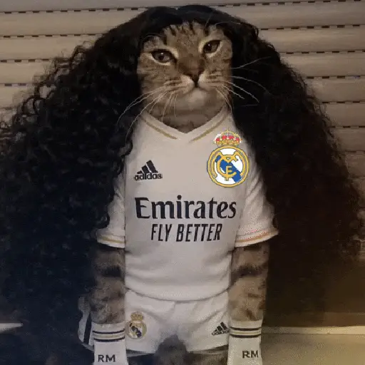🇪🇸⚽️🐈 GATO CUCURELLA 🐈⚽️🇪🇸 18